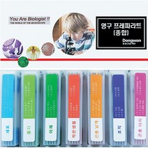 영구프레파라트(35종)