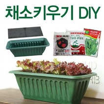 [딜]베란다에서 간편하게~채소키우기! 채소DIY세트, 채소키우기(DIY-대-화이트) 잎들깨