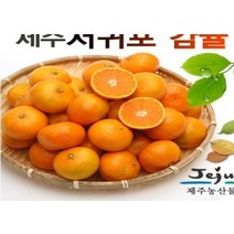 한라봉 4.5kg소과 노지감귤 4.5kg로얄과 2S S-M 제주감귤 감귤, 4.5k로얄과 S-M