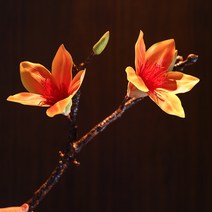 조화소품 촉감 목련화 모조꽃 모델 하우스 침실 티 다락 A스윙 설치함 채화 인조 응접실이 있다 x2개 2106696395, 귤색 (한짝 값 )