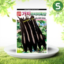 솔림텃밭몰 가지씨앗 200립 흑장가지 세장형 장가지 터널조숙재배