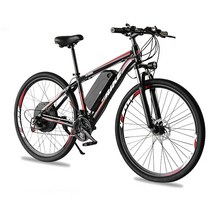 FRIKE 29인치 변속 전기자전거 48V 1000W PAS 스로틀 겸용 리튬전지 MTB자전거 88E6, 블랙+화이트