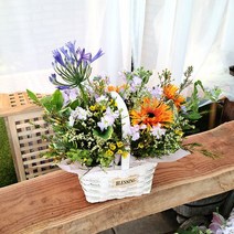 흰내 기념일 오렌지 거베라 생화 혼합 꽃바구니 꽃배달 선물 서울 경기지역만 배송가능