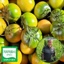 [대저농협인증]대저 짭짤이 토마토 2.5kg/당일수확/당일발송, 골드과(3S과)2.5kg(짭짤이토마토), 1개