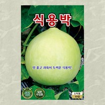 식용박씨 10립 식용박 씨앗 대장 KS종묘
