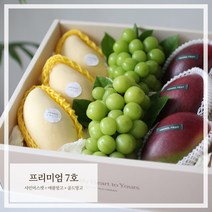 추석명절 과일 선물세트(프리미엄7호), 1개