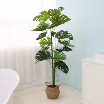 조아트 아레카 야자 인조나무 조화나무 소철 자작나무 벚꽃나무, 그린라인몬스테라165cm, 1개