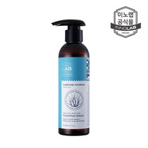 이노랩 스킨 밸런싱 포밍 워시 200ml, 포밍 워시 200