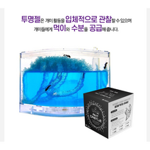 키우기 곤충채집세트 개미하우스 개미체험 개미기르기 성지 여왕 사육장 집 박사 고급, (초록)