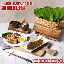 100% 유기농 생명이나물 국내산 산마늘 강원도 홍천 명이나물 장아찌 쌈 한정수량 1kg