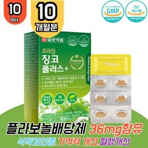 은행잎추출물 징코 10박스 포스파티 포스타 딜세린 망간 아연 판토텐산 비타민B 철 기억력 인지력 혈행 개선 두뇌 영양제 은행잎 은행엽 효능 수험생 청소년 부모님 할머니 ginko GINKGO
