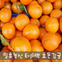 새콤달콤 고당도 효돈감귤(타이벡) 5kg - 주문당일선별발송, 10kg 큰귤