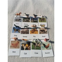 몬테소리 원목교구 가베 완구 블록 쌓기 원기둥 완구 레인보우 컬러 발도르프 우드, tools set