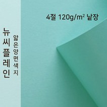 뉴씨플레인 종이문화 얇은 양면색지 120g 4절 낱장 1매 No.17 옥색, 1장