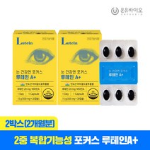눈 건강엔 포커스 루테인A+ 2박스(총2개월분), 단품, 단품