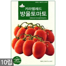 적작두콩 씨앗 10립 - 씨 작두콩씨앗 작두콩씨 작두콩 콩씨앗 콩씨 텃밭 주말농장, 10_캬라멜레드방울토마토(10립)
