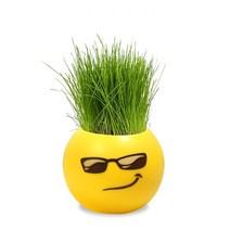 실내정원 홈잔디 머리 인형 DIY 식물 실내 정원 발코니 화병 꽃 화분, 06 Cool Grass Head