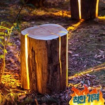 정원 용품 잔디 실외 외부 마당 나무 등 꾸미기, 전원 모델 소 조명 높이 260mm