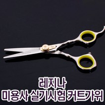 레지나 시험용 컷트 가위 컷팅 국가고시 셀프 미용사