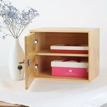 사물함 캐비닛 개인 미니 락커 케비넷 사무실옷장 철재 철제 관물대 락카장 미용실 캐비넷 사무실, 라지[48*30*35cm], 소나무 청수 에나멜에 칸막이 스타일
