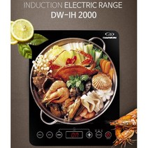대원 IH 1구 인덕션 전기레인지 DW-IH2000