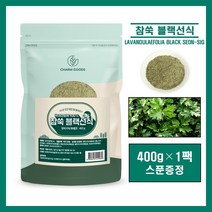 국산 100% 참쑥 블랙 선식 분말 가루 파우더 국내산 달성군 참쑥 원물 식사대용 아침대용 서리태 흑보리 찰흑미 귀리 미숫가루 참쑥라떼 쉐이크 쑥우유 참쑥떡 먹는법 추천, #영에버그린#참쑥블랙선식 400g (스푼증정), 1팩