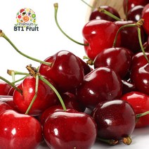 [비티원후르츠] [항공직수입]칠레 싱싱체리 1.2kg(10row), 상세 설명 참조