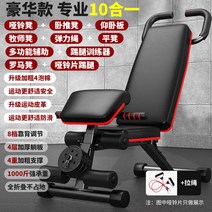 헬스 의자 벤치프레스 가정용 홈트레이닝 덤벨 각도조절 운동벤치 운동기구 웨이트, [디럭스 10 in 1] 업그레이드 덤벨