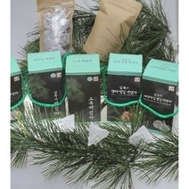 6시내고향백엽차 숙면에좋은 3box 무카페인차 무농약유기농차 솔향차 잣 백엽차 솔잎차, 5박스
