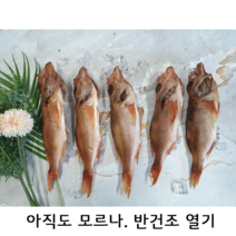 속초수산 반건조생선 열기, 3마리, 450
