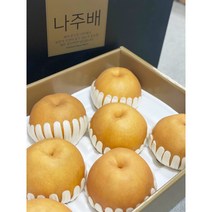 나주 햇배 원황배 신고배 배 특품 선물용, 11-13과, 1개, 7.5kg
