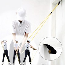 태나 다기능 스윙 트레이너 바디 스트레칭