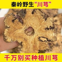 전통 중국 의학 500g야생 가루 차 건조 건강식품, free