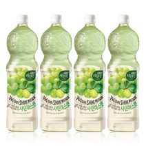 웅진 자연은 샤인머스캣 1.5L 4개 추천