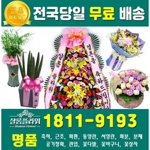 거베라꽃다발 꽃집추천 전국꽃배달업체 꽃돈상자 상견례선물 개원축하선물꽃배달 행사 기념일 기념일선물 결혼꽃배달 친구생일 아빠생신선물 거베라예약 꽃다발거베라 꽃다발예약, 1.축하3단