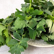 [더조은푸드] 여수농협 달큰 쌉싸라한 방풍나물 (옵션선택), 1박스, 2kg