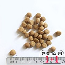 기호성 작은개밥 소화 강쥐밥 싼 휘핏밥 가성비 오래먹는 특별 균형영양 10KG