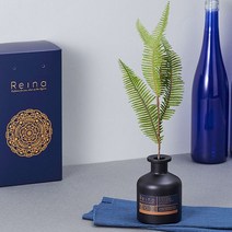 레이나퍼퓸 프리미엄 보스턴 플라워디퓨저 200mlx2, 핑크_화이트머스크