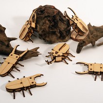 크래빗 [곤충 만들기] 엄마표 집콕놀이 diy 만들기 키트 세트 어린이 조립 장난감, 헤라클레스 장수풍뎅이