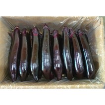 가락싱싱 가지 1kg (특품 ) 국내산 싱싱한 생가지, 1개