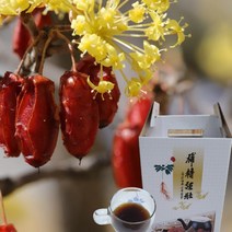 구례 산수유즙 진액 100ml 50포