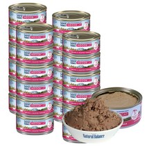 내추럴발란스 LID 연어 앤 병아리콩 포뮬라 고양이 주식캔 24p, 생선, 156g, 24개