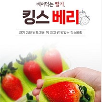 논산 킹스베리 대왕 딸기 특사이즈 8개 350g임 700g이상 구매시 배송혜택 리뷰추첨, 350g 8개 14800원