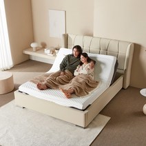 베이 퀸 모션베드 전동침대 프레임, 아이보리