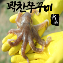 어부언니 쭈꾸미 생물 산지직송 국내산 알베기 알 활 당일발송 토요일 도착, 쭈꾸미3kg