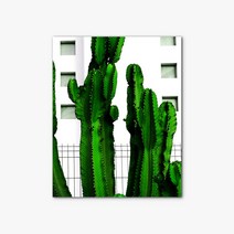 [에이블밤부] 캔버스 사진 작품 인테리어 액자 STOCK image 385