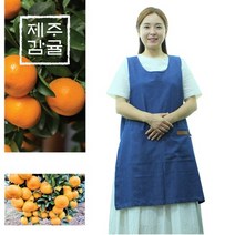 한라산 저농약 제주귤 10kg 친환경 못난이 고당도 밀감, 상세페이지 참조