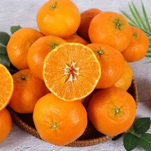 채홈 제주직송 제주 레드향 1.5kg(4과~13과) 2.5kg(7과~20과) 4.5kg(11과~28과) 중소과 중과 대과, 4.5kg 중소과(21과~28과)