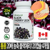 20배 농축 블랙체리 120캡슐 4개월/ 통풍영양제 / 캐나다 식약청 GMP NPN인증