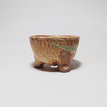 고구려화분 다육 선인장 키우기쉬운 반려식물 화분